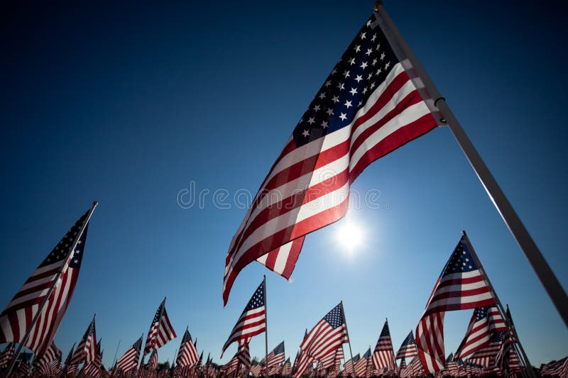 Bandeiras americanas que comemoram o feriado nacional imagens de stock Bandeiras americanas que comemoram o feriado nacional imagens de stock