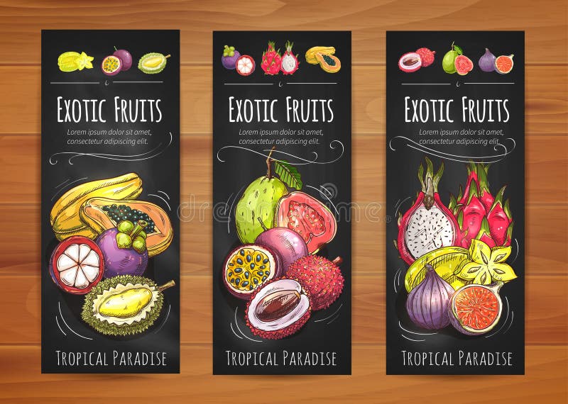 Exotic tropical fruits banners with papaya, star fruit, guava, mangosteen, passion fruit, lychee, fig, dragon fruit and durian fruits. Tropical cocktail, vegetarian dessert, food packaging design. Exotic tropical fruits banners with papaya, star fruit, guava, mangosteen, passion fruit, lychee, fig, dragon fruit and durian fruits. Tropical cocktail, vegetarian dessert, food packaging design