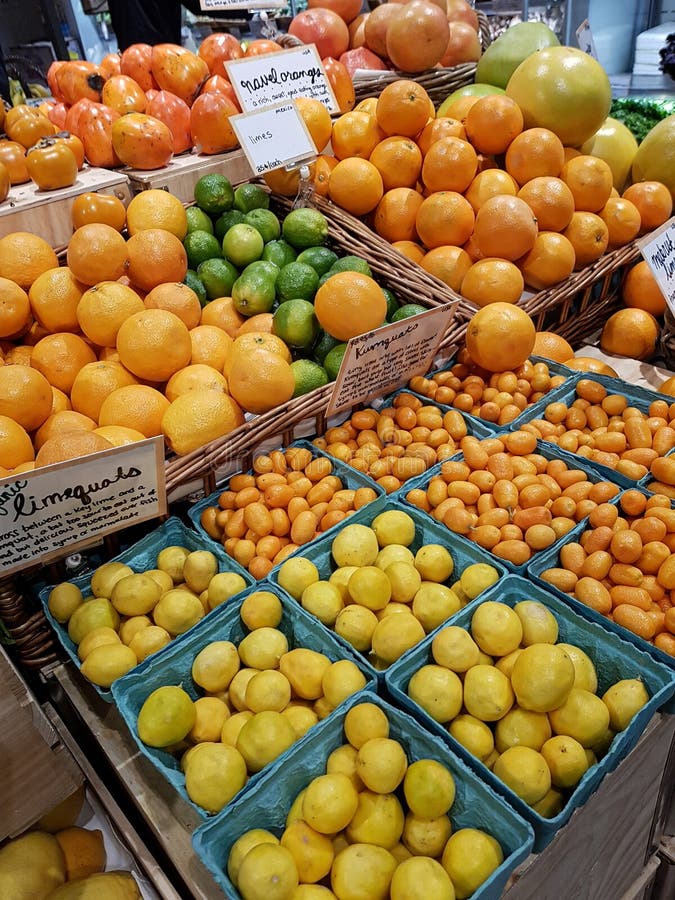 Bandejas de citrinos, de laranjas, de limões, de linhas kumquats & de limequa foto de stock royalty free Bandejas de citrinos, de laranjas, de limões, de linhas kumquats & de limequa foto de stock royalty free