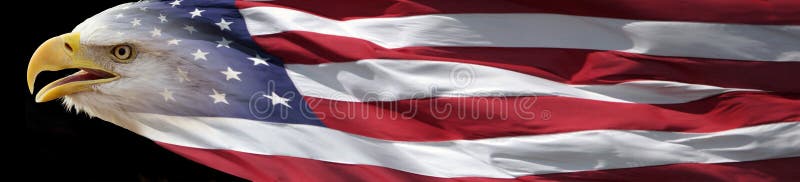 Bandera de Eagle calvo y de la bandera americana