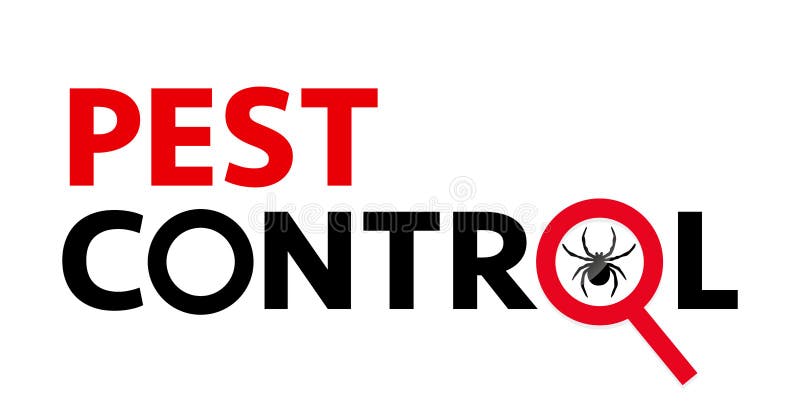 Bandera de la web del control de plagas como las arañas. Silueta de una araña bajo una lupa sobre fondo blanco.