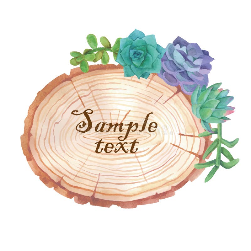 Bandera de madera de la rebanada de la acuarela con los succulents stock de ilustración Bandera de madera de la rebanada de la acuarela con los succulents stock de ilustración