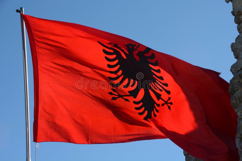 Bandera De Seda Roja Albanesa Que Agita Con Las águilas Negras Impresas En  El Centro Foto de archivo - Imagen de naturalizado, albania: 132066858