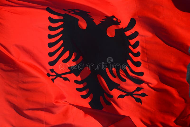 Bandera De Seda Roja Albanesa Que Agita Con Las águilas Negras Impresas En  El Centro Imagen de archivo - Imagen de tela, naturalice: 132066899