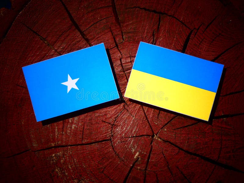 Bandera somalí con la bandera ucraniana en un tocón de árbol aislado imágenes de archivo libres de regalías Bandera somalí con la bandera ucraniana en un tocón de árbol aislado imágenes de archivo libres de regalías