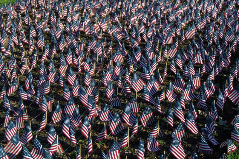 Banderas americanas en honor de nuestros veteranos