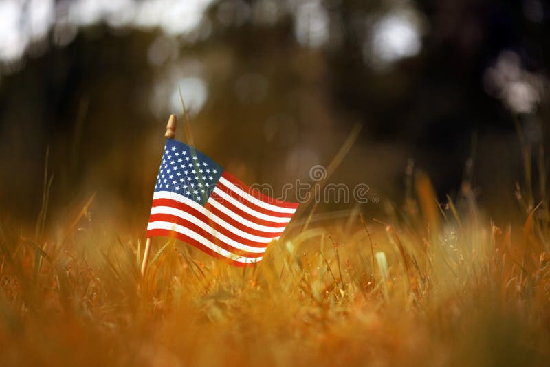 bandiera americana sull'erba gialla e arancione d'autunno fotografia stock libera da diritti bandiera americana sull'erba gialla e arancione d'autunno fotografia stock libera da diritti
