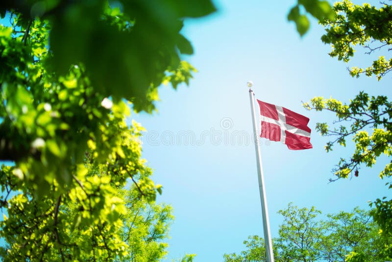 Bandiera danese, bandiera danese sventola nel vento tra gli alberi