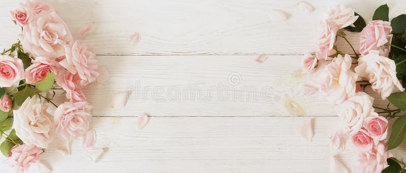Bandiera dei fiori Background Mazzo di belle rose rosa su fondo di legno bianco