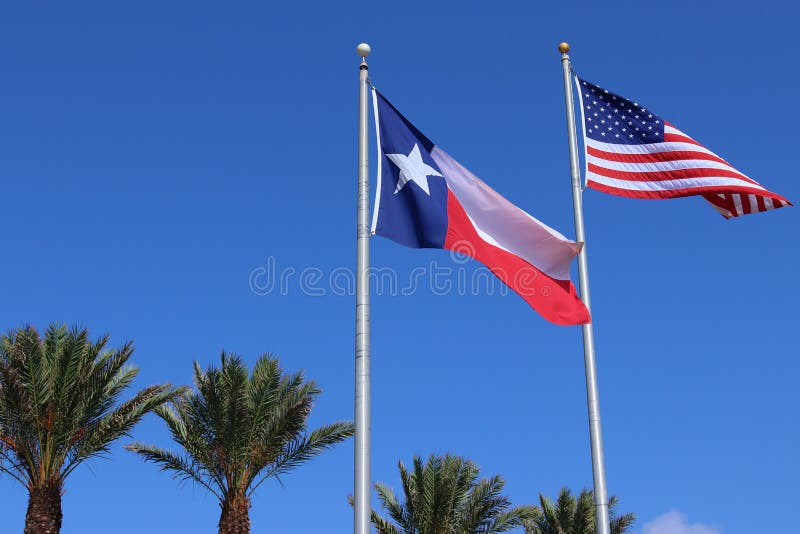 Bandiera del Texas, bandiera sola dello stato della stella e bandiera degli Stati Uniti d'America Stati Uniti contro le palme del immagine stock Bandiera del Texas, bandiera sola dello stato della stella e bandiera degli Stati Uniti d'America Stati Uniti contro le palme del immagine stock