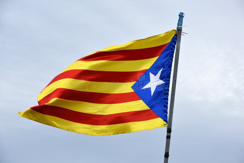 Spilla Bandiera Catalogna Con Scritta Catalan - 2 Cm, Resina Epossidica, Resistente - Foto 2