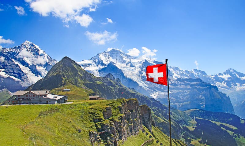 Bandiera dello svizzero