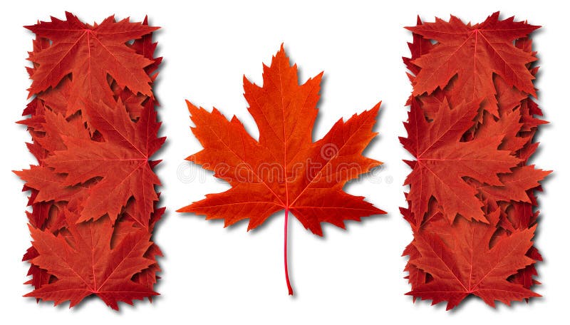 Bandierina del foglio del Canada royalty illustrazione gratis Bandierina del foglio del Canada royalty illustrazione gratis