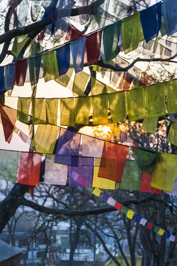 Bandiere Di Preghiera Tibetane In Seta - Set Da 20 Fogli Per Decorazione Interna Ed Esterna, 7 Metri - Foto 12