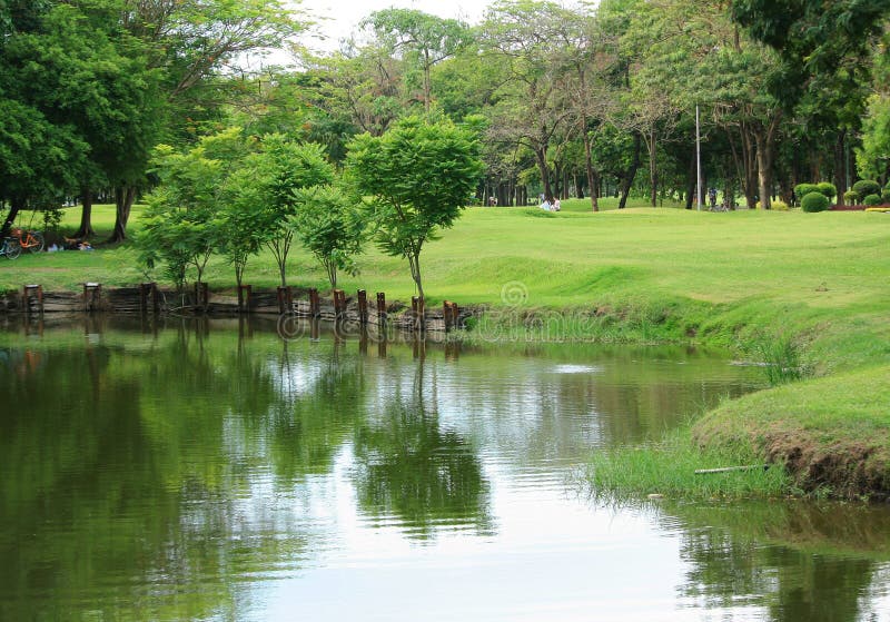 Bangkok City Park colorful trees with reflection