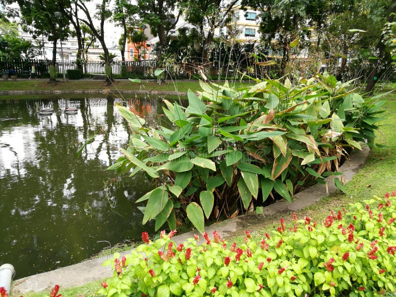 Bangkok - Santiphap Park Peace Park royalty free stock photography Bangkok - Santiphap Park Peace Park royalty free stock photography
