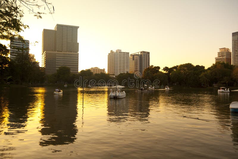 Lumpini Park at the sunset ,Thailand royalty free stock photos Lumpini Park at the sunset ,Thailand royalty free stock photos