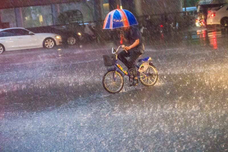 Bangkok, Thailand - July 6. 2017: A man is ridding the bicycle under a heavy rain on the street in the evening. Unidentified man is riding a bicycle and carrying an umbrella in heavy rain on a street.