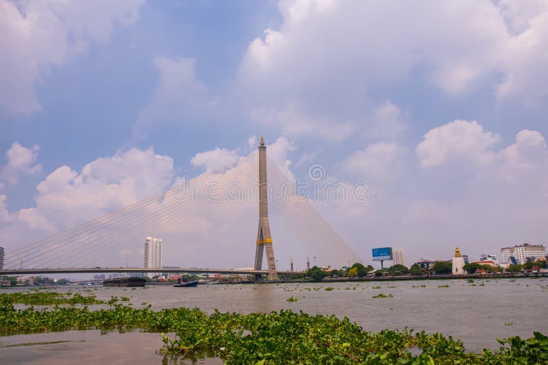 The Rama VIII Bridge Over Chao Phra Ya River In Bangkok
