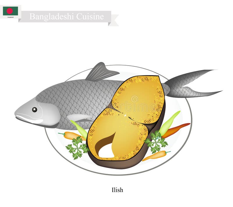 Bangladeshi Salted and Fried Ilish Fish on White Background Stock Vector - Illustration of hilsha, bangladesh: 70122045 Bangladeshi Salted and Fried Ilish Fish on White Background Stock Vector - Illustration of hilsha, bangladesh: 70122045