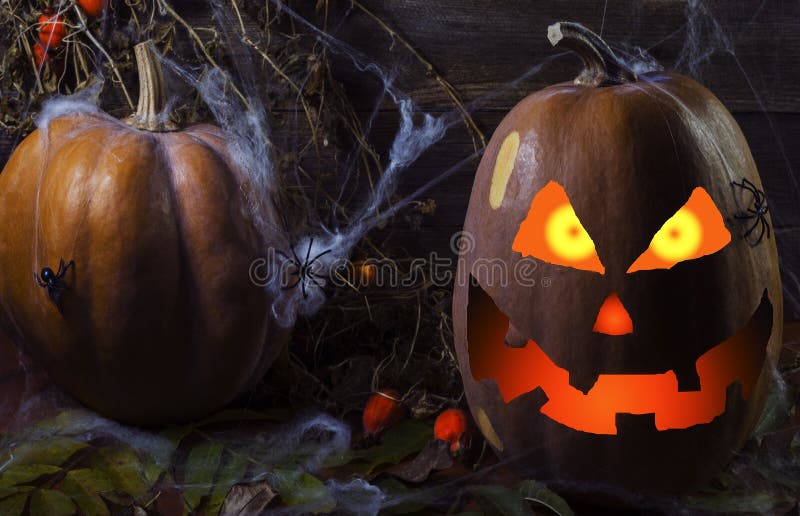 Bania w sieci i pająki na tle drzewo dla Halloween 4 zdjęcie royalty free Bania w sieci i pająki na tle drzewo dla Halloween 4 zdjęcie royalty free