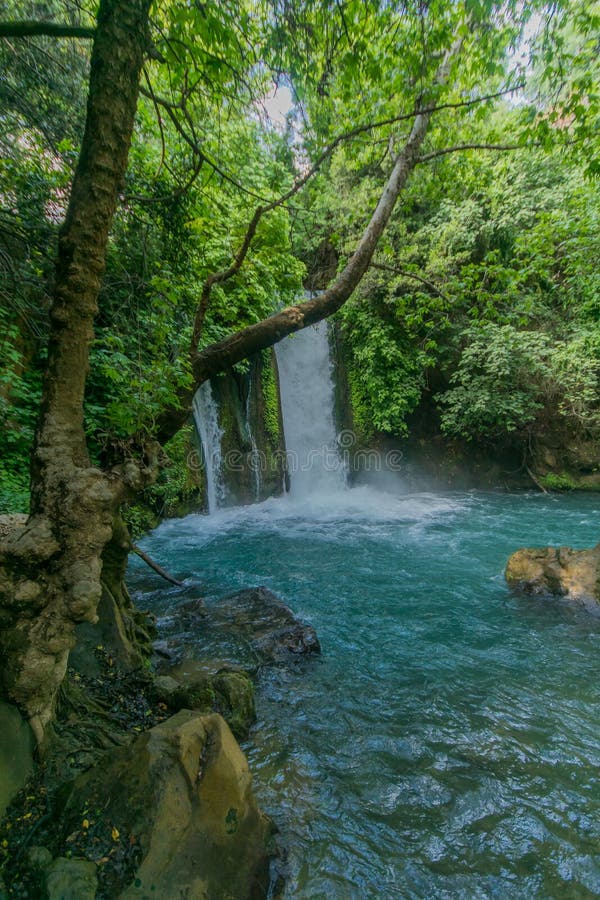 Bach Hermon mit Banias Fall, Golanhöhen, Israel Stock Photo - Alamy