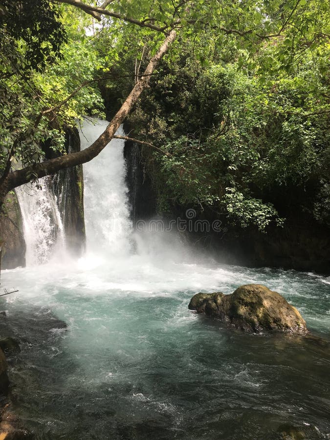 Bach Hermon mit Banias Fall, Golanhöhen, Israel Stock Photo - Alamy