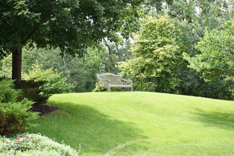 Bank Im Wald Mit Teich Im Hintergrund Stockfoto Bild von unterlassung