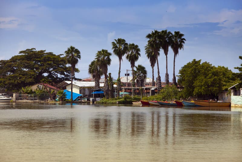 Jamaica.Black River.Landscape In A Sunny Day Stock Image Image of