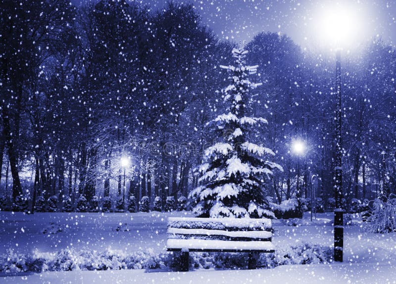 Bank, kerstboom en lantaarn stock foto's