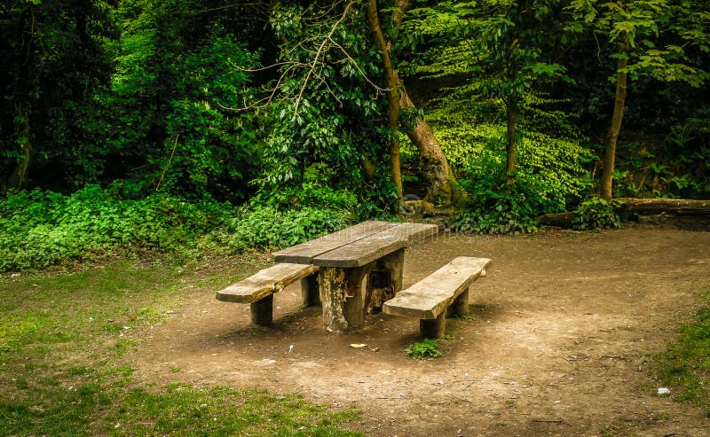 Bank im Wald um rheeze stockbild. Bild von heidekraut - 189207627