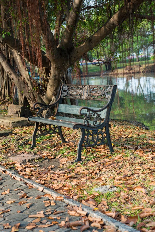 Bank im Park stockbild. Bild von verminderung, fallen - 36029267