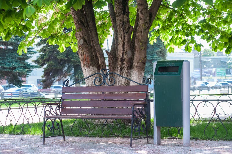 Bank mit Stadtabfalleimer im städtischen Park unter der blühenden Kastanie am sonnigen Tag stockfoto Bank mit Stadtabfalleimer im städtischen Park unter der blühenden Kastanie am sonnigen Tag stockfoto