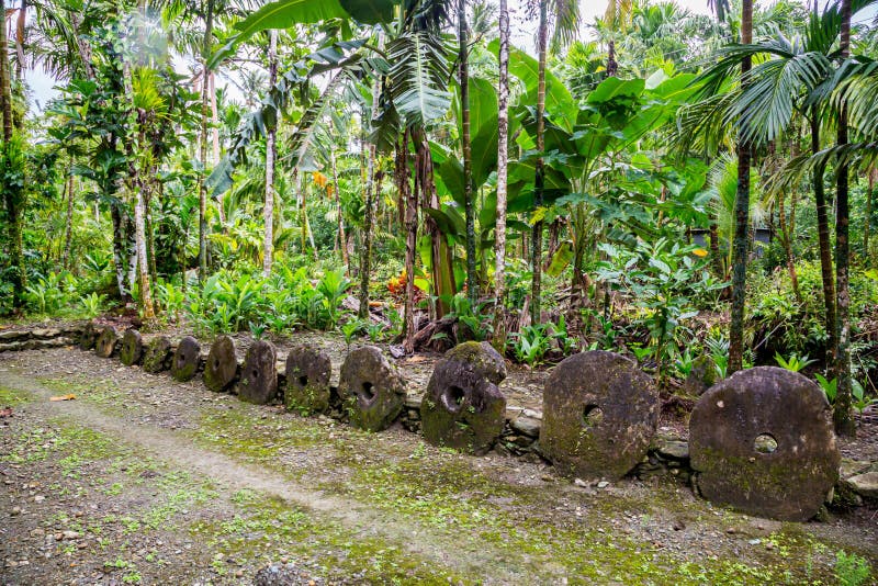 Bank olbrzymich, prehistorycznych, megalitycznych kamiennych pieniędzy Rai Dyski monet stojących z rzędu, ukryte w dżungli Yap