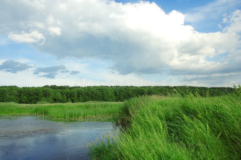 Bank river. stock photo. Image of seasons, solitude, landscape 6487356