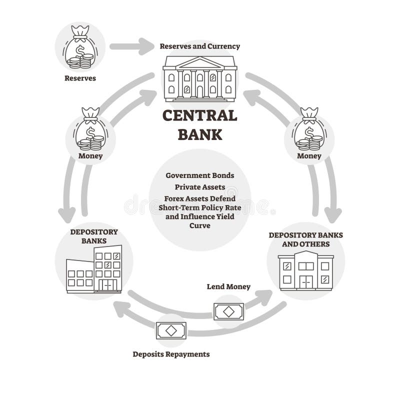 Central bank vector illustration. Outline finance explanation cycle scheme. Labeled reserves currency, money flow from depositary and private assets. Policy rate and influence yield curve explanation. Central bank vector illustration. Outline finance explanation cycle scheme. Labeled reserves currency, money flow from depositary and private assets. Policy rate and influence yield curve explanation.