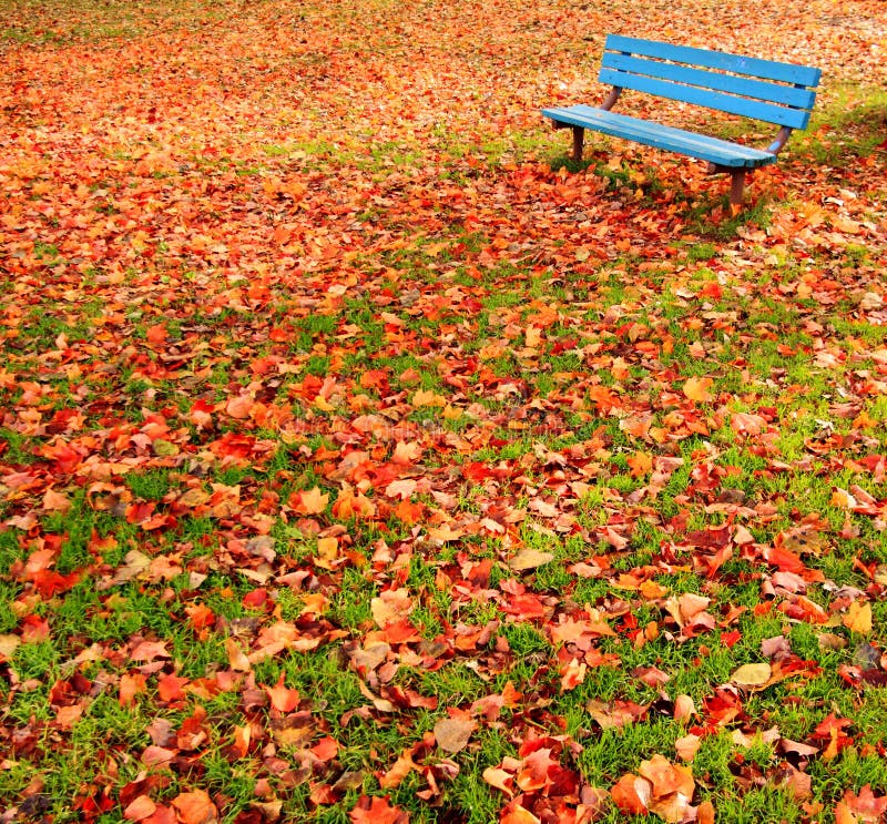 Bankpark-Herbstblätter lizenzfreie stockfotos Bankpark-Herbstblätter lizenzfreie stockfotos