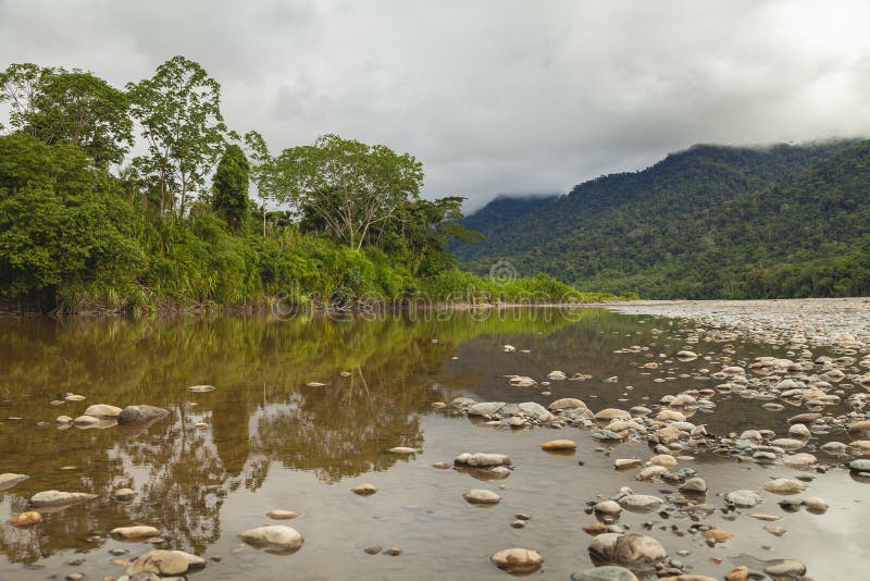 Impresionante montanas, a Amazonas, sobre el bancos de un rio, en.
