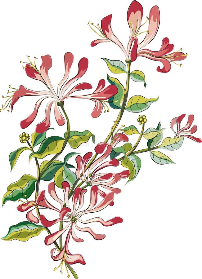 banksja ilustracji banksja ilustracji