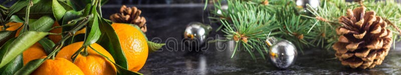 Banner of Christmas orange tangerines with green leaves and fir tree on dark background with copy space royalty free stock photo Banner of Christmas orange tangerines with green leaves and fir tree on dark background with copy space royalty free stock photo