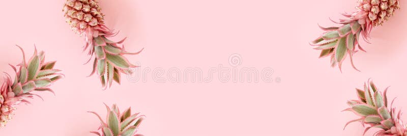 Banner cu cadru din ananas roz royalty free stock photography