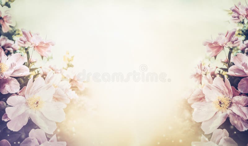 Banner de fond pentru culori pastel cu culoare florală royalty free illustration