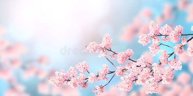 Banner de primavera horizontal con flores sakura