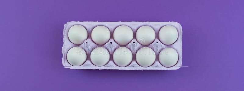 Banner Rectangular box with chicken eggs. royalty free stock images Banner Rectangular box with chicken eggs. royalty free stock images