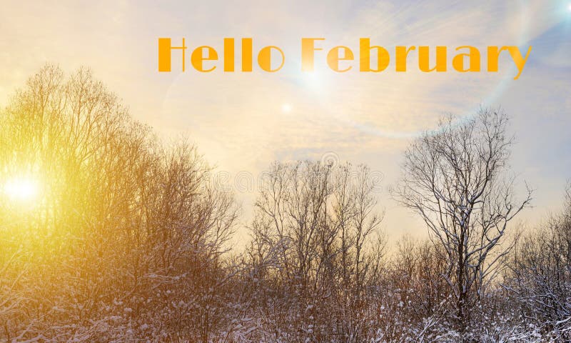 Banner saudação fevereiro . paisagem de inverno . árvores de neve e neve. natureza. imagem de neve. foto com texto. o novo mês