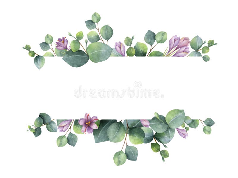 Bannière d'aquarelle avec les feuilles vertes d'eucalyptus, les fleurs pourpres et les branches