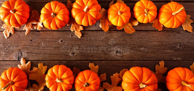 Bannière à deux bordures d'automne de citrouilles et de feuilles d'automne, vue d'en haut sur un arrière-plan en bois rustique images stock Bannière à deux bordures d'automne de citrouilles et de feuilles d'automne, vue d'en haut sur un arrière-plan en bois rustique images stock