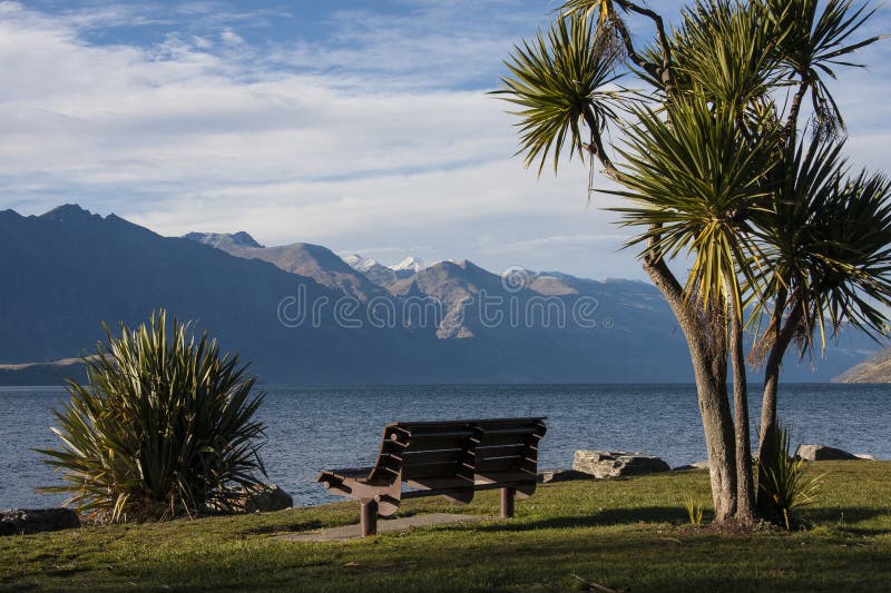 Sunny view of Lake Wakatipu with bench seat and Cabbage Tree. Sunny view of Lake Wakatipu with bench seat and Cabbage Tree