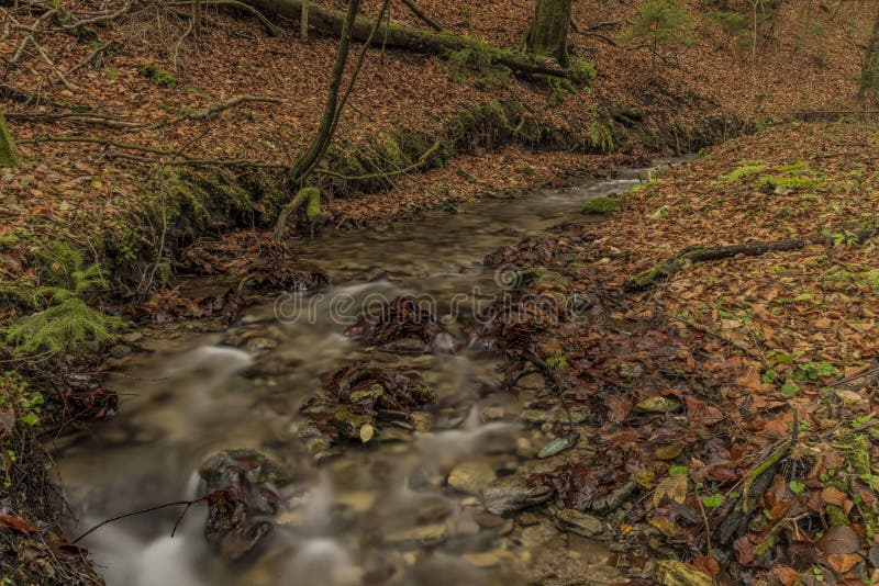 Bansky creek in autumn morning near Spania Dolina