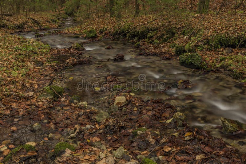 Bansky creek in autumn morning near Spania Dolina